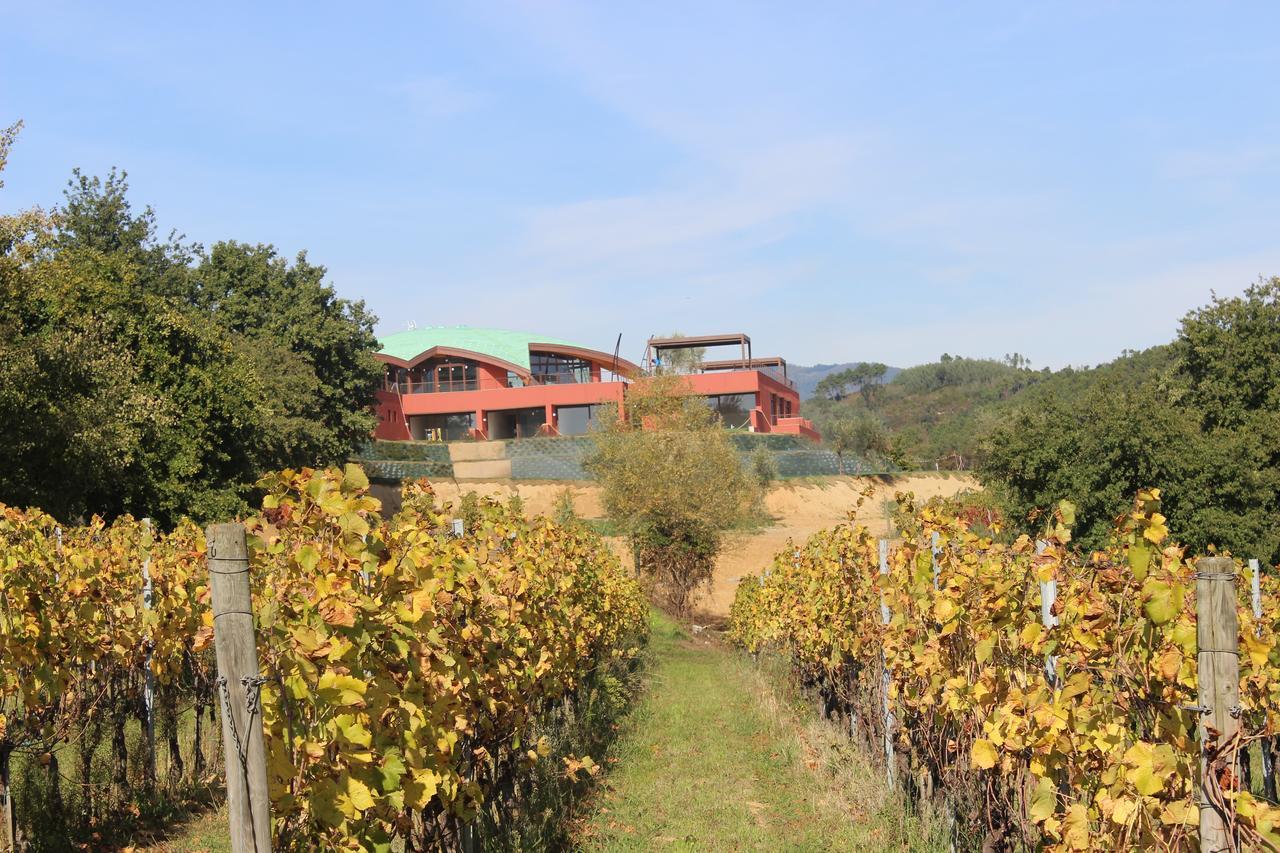 Buonamico Wine Resort Montecarlo Zewnętrze zdjęcie