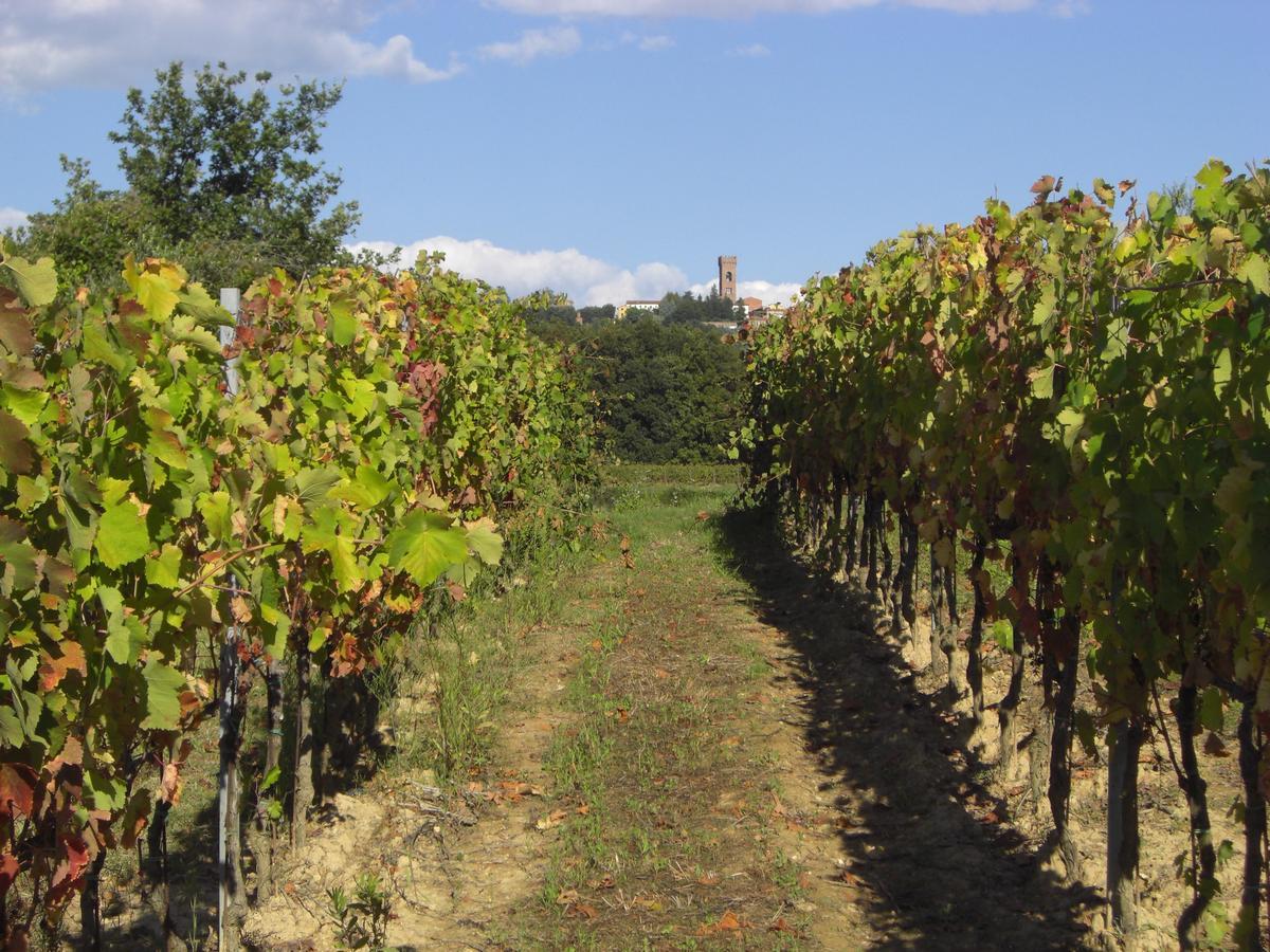 Buonamico Wine Resort Montecarlo Zewnętrze zdjęcie